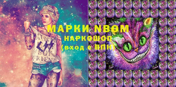 сатива Верхний Тагил