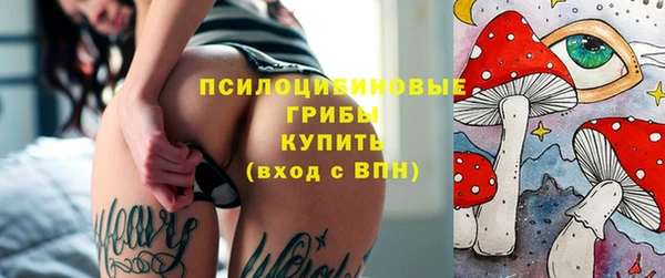 дживик Бородино