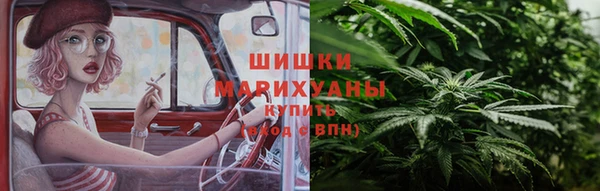 дживик Бородино
