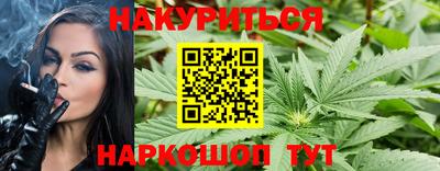 мдпв Бийск