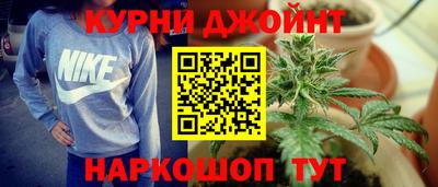 гидра Беслан