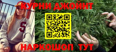 гидра Беслан