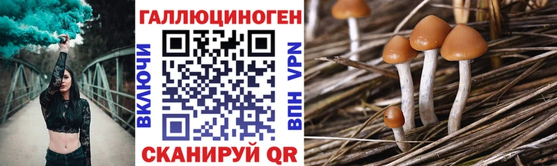 наркошоп  Вольск  Галлюциногенные грибы Psilocybe 