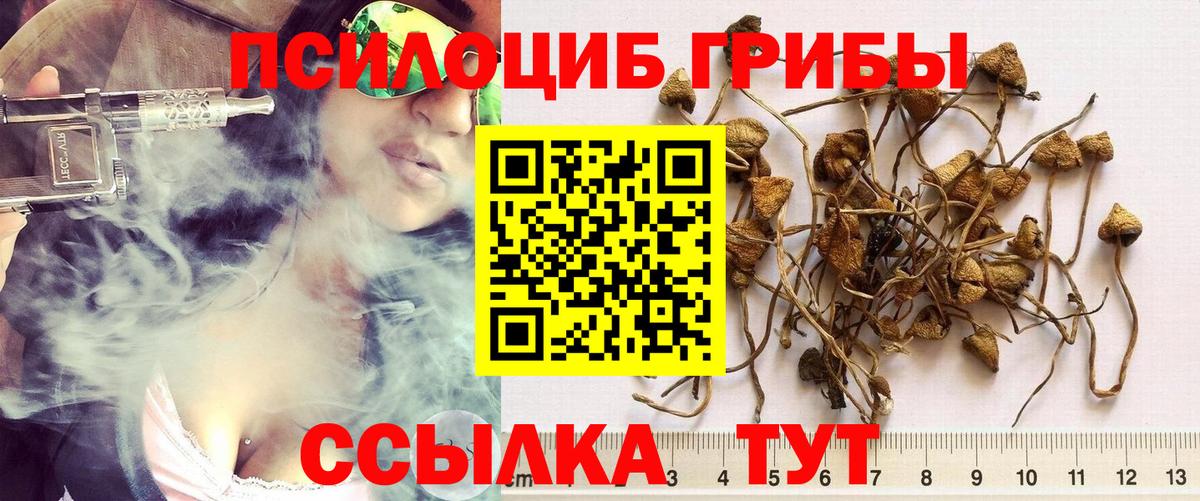 Вольск  Галлюциногенные грибы мухоморы  Вход с VPN 