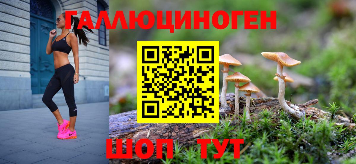 Псилоцибиновые грибы Psilocybine cubensis Вольск