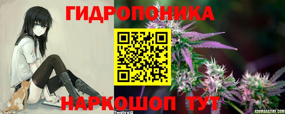  Cocaine Вольск